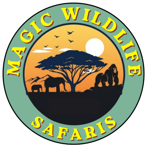 Magic Wildlife Safaris